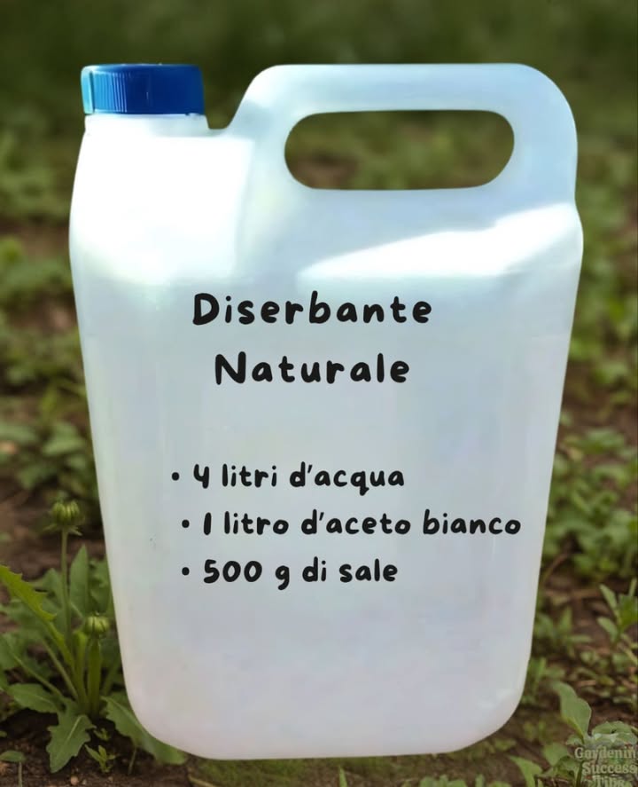 Mescolare accuratamente tutti gli ingredienti e applicare direttamente sulle erbacce indesiderate utilizzando un flacone spray o uno spruzzatore da giardino. Evitare di spruzzare vicino alle piante che si desidera conservare.