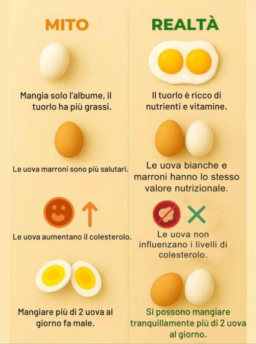 Miti e fatti sulle uova