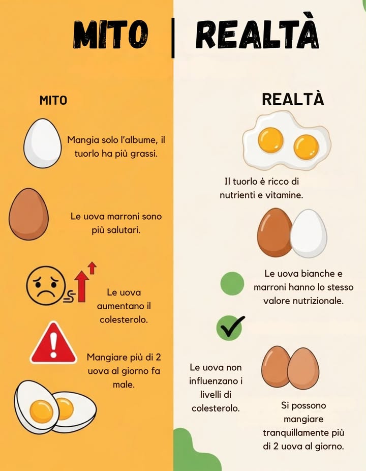 Mito vs Realtà sulle Uova 

 Mito:
 Mangia solo lalbume, il tuorlo ha troppi grassi.
 Le uova marroni sono più salutari.
 Le uova aumentano il colesterolo.
 Mangiare più di 2 uova al giorno fa male.

 Realtà:
 Il tuorlo è ricco di nutrienti e vitamine essenziali.
 Le uova bianche e marroni hanno lo stesso valore nutrizionale.
 Le uova non influenzano significativamente i livelli di colesterolo.
 Si possono mangiare più di 2 uova al giorno senza problemi, se inserite in una dieta equilibrata.