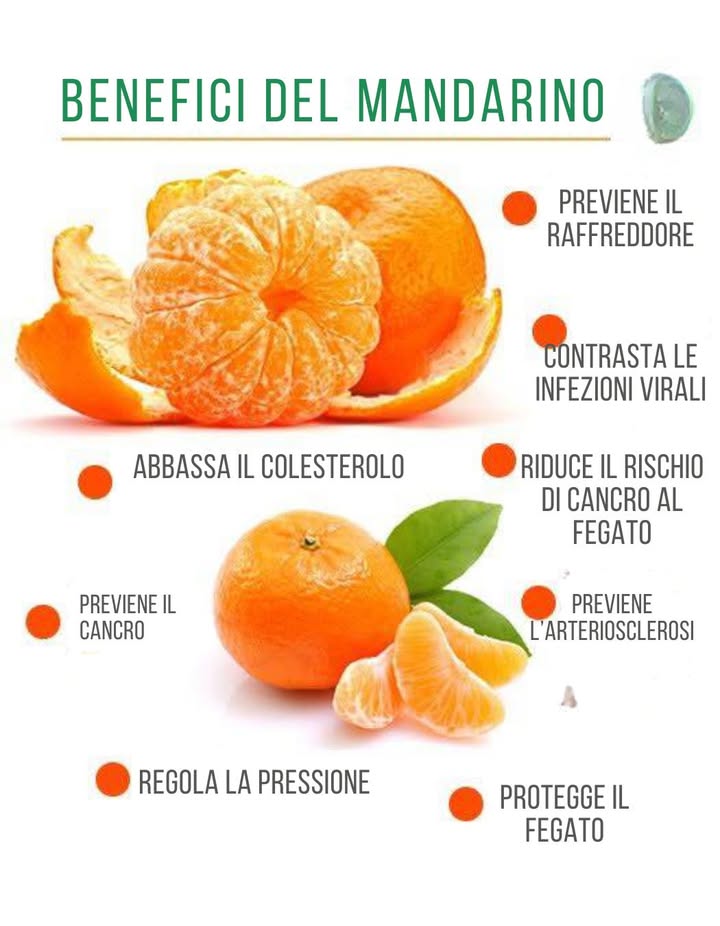 I mandarini offrono numerosi benefici per la salute grazie al loro elevato contenuto di vitamina C, che rafforza il sistema immunitario, combatte i radicali liberi e favorisce la salute della pelle. Le fibre migliorano la digestione e aumentano la sazietà, mentre flavonoidi e potassio sostengono il benessere cardiovascolare. Gli antiossidanti presenti possono inoltre proteggere il fegato e favorire la memoria.