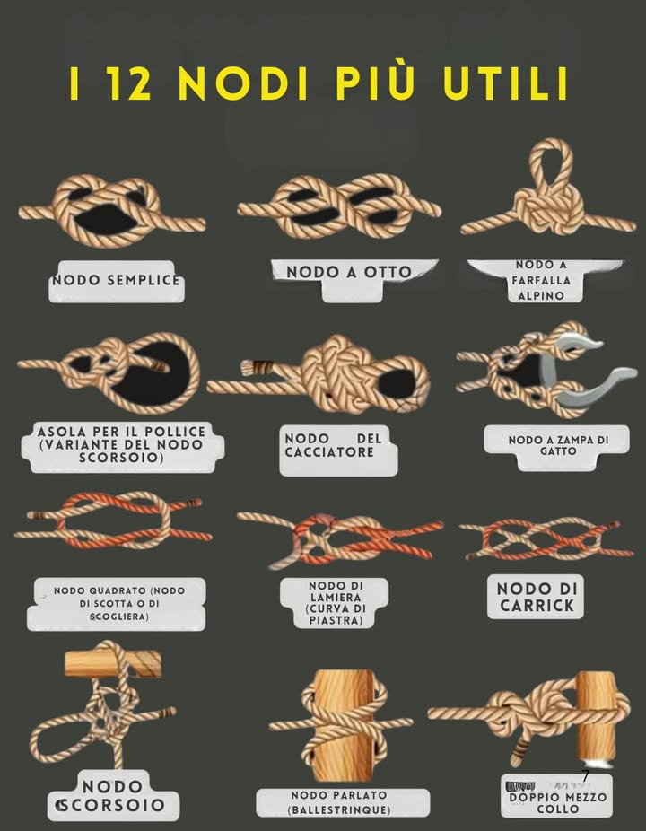 甆 Domina lArte dei Nodi con questa Guida Visiva

Nodo Semplice  Perfetto come fermo o per rifinire una corda.

Nodo a Otto  Punto dancoraggio sicuro, evita che la corda scivoli.

Nodo a Gassa dAmante  Forma un anello fisso che non si stringe con la tensione.

Gassa dAmante con Coda  Lazo resistente e stabile, facile da sciogliere.

Nodo del Cacciatore  Unisce due corde in modo saldo.

Nodo Zampa di Gatto  Accorcia la corda o permette di agganciarla facilmente a un gancio.

Nodo Piano Quadrato  Collega due corde dello stesso spessore.

Nodo a Testa dAllodola  Fissa una corda a un oggetto o a un anello.

Nodo Carrick  Unisce corde spesse per carichi pesanti.

Nodo Scorrevole  Lazo regolabile, versatile per molti usi.

Nodo Parlato Ballestrinco  Fissa rapidamente una corda a un palo.

Nodo dAncora  Garantisce una presa sicura a un anello o punto di ancoraggio.

 Impara questi nodi per navigazione, campeggio, giardinaggio, arrampicata o fai-da-te. Sempre pronti per ogni avventura!
#Nodi #GuidaVisiva #FaiDaTe
