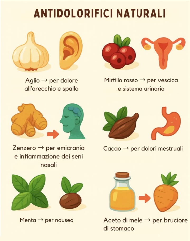 Antidolorifici naturali sempre a portata di mano 
La natura offre rimedi semplici ed efficaci:
龍 Aglio  per dolori a orecchio e spalla
 Mirtillo rosso  per la vescica e il sistema urinario
 Zenzero  per emicrania e seni nasali infiammati
 Cacao  per dolori mestruali
 Menta  per nausea
 Aceto di mele  per bruciore di stomaco
Un piccolo kit naturale per alleviare i fastidi quotidiani 
#rimedinaturali #benesserenaturale #naturopatia