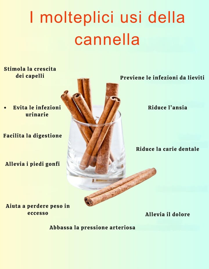 I MOLTEPLICI USI DELLA CANNELLA