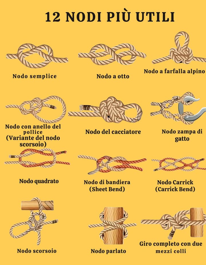 甆 Nodi Essenziali: Tecniche per Ogni Situazione

Nodo Semplice  Ottimo come fermacorda o per chiudere una cima.

Nodo a Otto  Punto dancoraggio sicuro, evita lo scivolamento.

Nodo a Gassa dAmante  Crea unasola fissa che non si stringe sotto tensione.

Nodo a Gassa Semplice  Asola resistente e fissa, facile da sciogliere.

Nodo del Cacciatore  Unisce due corde in modo sicuro.

Nodo Zampe di Gatto  Accorcia una corda o la fissa a un gancio.

Nodo Piano  Unisce due corde dello stesso spessore.

Nodo Testa di Allodola  Fissa una corda a un oggetto o a unanello.

Nodo Carrick  Unisce corde spesse per carichi pesanti.

Nodo Scorrevole  Asola regolabile per vari usi.

Nodo Parlato  Fissa rapidamente una corda a un palo o supporto.

Nodo dAncora  Tenuta solida per legare ad anelli o ancore.

 Padroneggia questi nodi per vela, campeggio, giardinaggio, arrampicata o fai-da-te