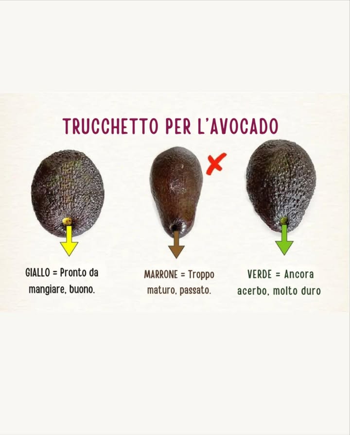 陋 Trucchetto per scegliere lavocado
 Se sotto il picciolo è giallo, lavocado è pronto e buono da mangiare.
 Se è marrone, significa che è troppo maturo e passato.
 Se è verde, è ancora acerbo e molto duro.
Un controllo rapido che ti assicura lavocado perfetto ogni volta!