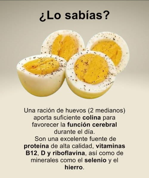 Beneficios del huevo
Una ración de 2 huevos medianos aporta suficiente colina para mejorar la función cerebral durante el día.
 Fuente de proteína de alta calidad
 Ricos en vitaminas B12, D y riboflavina
 Aportan selenio y hierro, esenciales para la energía y el sistema inmunitario.
讀 Un alimento completo para cuerpo y mente.