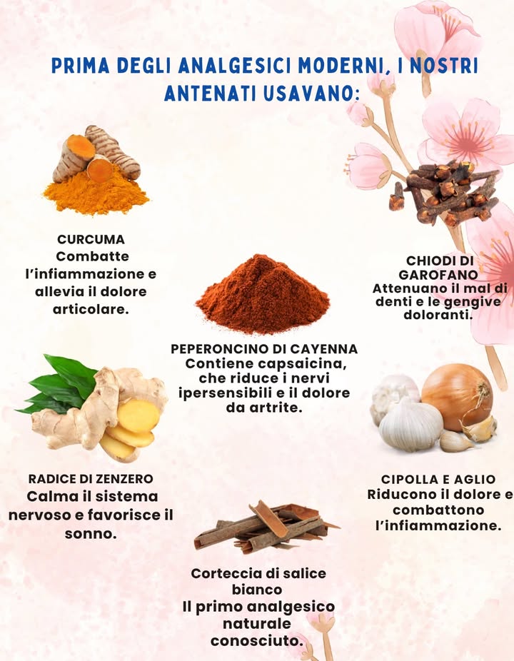 PRIMA DEGLI ANALGESICI UTILIZZATI DAI NOSTRI AVIANTI