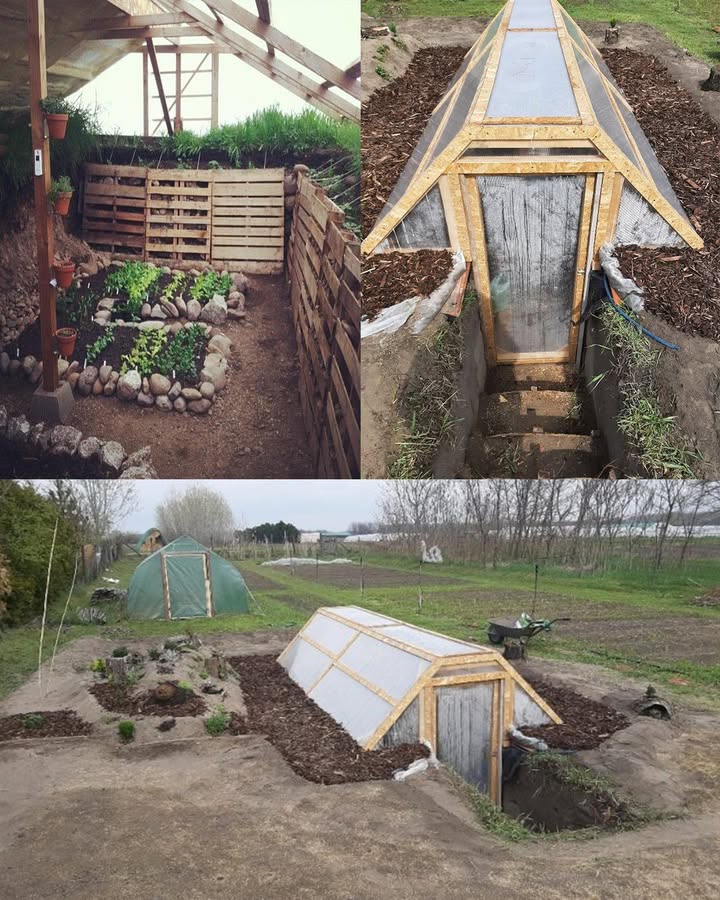 Serra Sotterranea per Coltivare Tutto lAnno 

Scopri il walipini, la serra scavata nel terreno che sfrutta lisolamento naturale della terra per proteggere le piante e prolungare la stagione di crescita.

 Vantaggi di una Serra Sotterranea
 Stabilità Termica: il terreno mantiene temperature più costanti.
 Protezione dagli Agenti Climatici: meno esposta a vento, neve e grandine.
 Raccolti Prolungati: possibile coltivare anche nei mesi freddi.
 Sostenibilità: minore consumo di energia per il riscaldamento.

 Come Scegliere il Luogo Ideale
 Massima esposizione al sole verso sud nellemisfero nord.
 Buon drenaggio per evitare ristagni.
 Accessibile tutto lanno.

 Costruzione in Breve

Scavo: 2,53 m di profondità per sfruttare lisolamento.

Muri: mattoni, pietre o sacchi di terra; rinforzo con cemento se necessario. Isola il muro a nord per trattenere il calore.

Tetto: plastica UV, policarbonato o vetro. Deve essere inclinato per captare più sole e far scivolare pioggia e neve.

 Con una serra sotterranea coltivi in modo naturale, risparmi energia e godi di raccolti tutto lanno.