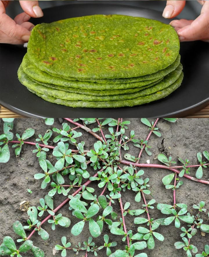 30 validi motivi per smettere di ignorare questerba: è considerata una “miniera doro” in giardino
 Portulaca Porcellana: 30 Motivi Potenti per Non Ignorarla

Spesso vista come una semplice erbaccia, la porcellana Portulaca oleracea è in realtà un concentrato di salute, ricca di omega-3, vitamine, minerali e proprietà curative conosciute da secoli nella medicina tradizionale.

Benefici principali

Ricchissima di omega-3  sostiene cuore e cervello.

Antinfiammatoria  riduce dolori e gonfiori.

Migliora la salute cardiovascolare.

Favorisce la funzione cerebrale.

Protegge la vista con vitamina A e betacarotene.

Rafforza il sistema immunitario.

Migliora la salute della pelle acne, irritazioni, ferite.

Aiuta a regolare la glicemia.

Favorisce la digestione con mucillagini e fibre.

Riduce il rischio di ictus.

Rinforza ossa e denti.

Sostiene il controllo del peso.

Mantiene lidratazione.

Buona fonte di ferro.

Diuretica naturale.

Aiuta ad alcalinizzare lorganismo.

Protegge la funzione epatica.

Proprietà antiparassitarie.

Favorisce la crescita dei capelli.

Supporta la gravidanza grazie allacido folico.

Migliora la qualità del sonno.

Lenisce ulcere della bocca.

Combatte lo stress ossidativo.

Accelera la cicatrizzazione.

Rinfresca nei periodi di caldo intenso.

Supporta la salute renale.

Aiuta contro tosse e disturbi respiratori.

Regola il ciclo mestruale.

Contrasta la stipsi.

Potenziale azione anticancro ricerche preliminari.

Come usarla a casa

Tisana: bollire foglie fresche o secche, lasciare in infusione 10-15 min.

Insalata fresca: con cetrioli, pomodori, limone e olio doliva.

Frullato: aggiungere una manciata di foglie a smoothie verdi.

Impacco cutaneo: foglie pestate su acne, punture, irritazioni.

Saltata veloce: in padella con aglio e olio doliva per 2-3 min.

Pediluvio rinfrescante: decotto di foglie in acqua tiepida.

Cubetti di ghiaccio curativi: frullare con acqua e congelare.

Polvere essiccata: essiccare allombra, macinare e conservare in barattolo di vetro.

 Consiglio: cresce spontaneamente in orti, giardini e marciapiedi. Raccoglila lontano da fonti di inquinamento e goditi il suo tesoro di benessere tutto lanno.