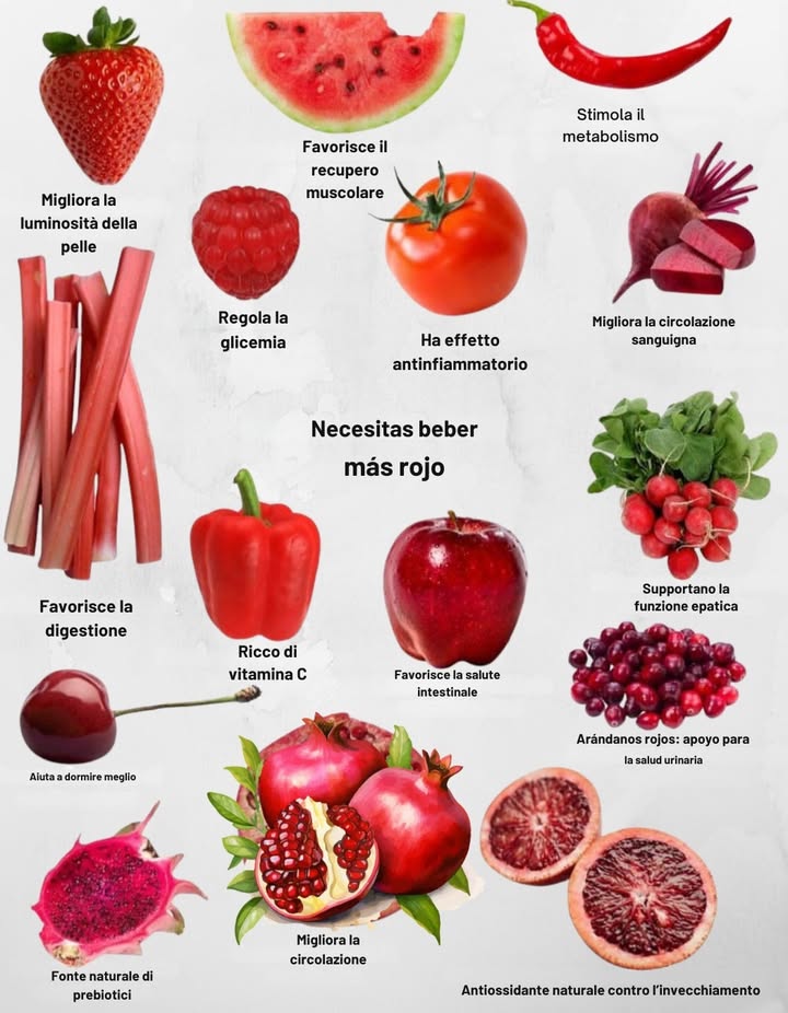 Benefici degli alimenti rossi   Fragola  migliora la luminosità della pelle  Anguria  favorisce il recupero muscolare  Peperoncino  accelera il metabolismo  Lampone  regola la glicemia  Pomodoro  effetto antinfiammatorio  Barbabietola  migliora il flusso sanguigno  Rabarbaro  favorisce la digestione  Peperone rosso  ricco di vitamina C  Mela rossa  protegge la salute intestinale  Ravanelli  supporto alla funzione epatica  Ciliegia  favorisce il sonno naturale  Mirtilli rossi  sostegno alla salute urinaria  Pitaya rossa  fonte di prebiotici  Melograno  migliora la circolazione  Arancia sanguinella  antiossidante naturale contro linvecchiamento

#AlimentiRossi #BenessereNaturale #Nutrizione