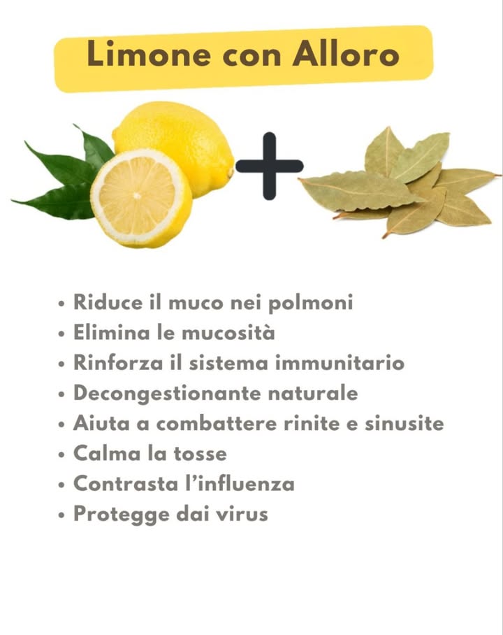 Limone e alloro: un duo naturale per la salute 
Riduce il muco nei polmoni ed elimina le secrezioni
Rafforza il sistema immunitario e favorisce la decongestione
Aiuta a combattere rinite e sinusite
Calma la tosse e sostiene la lotta contro linfluenza
Offre una protezione naturale contro alcuni virus
