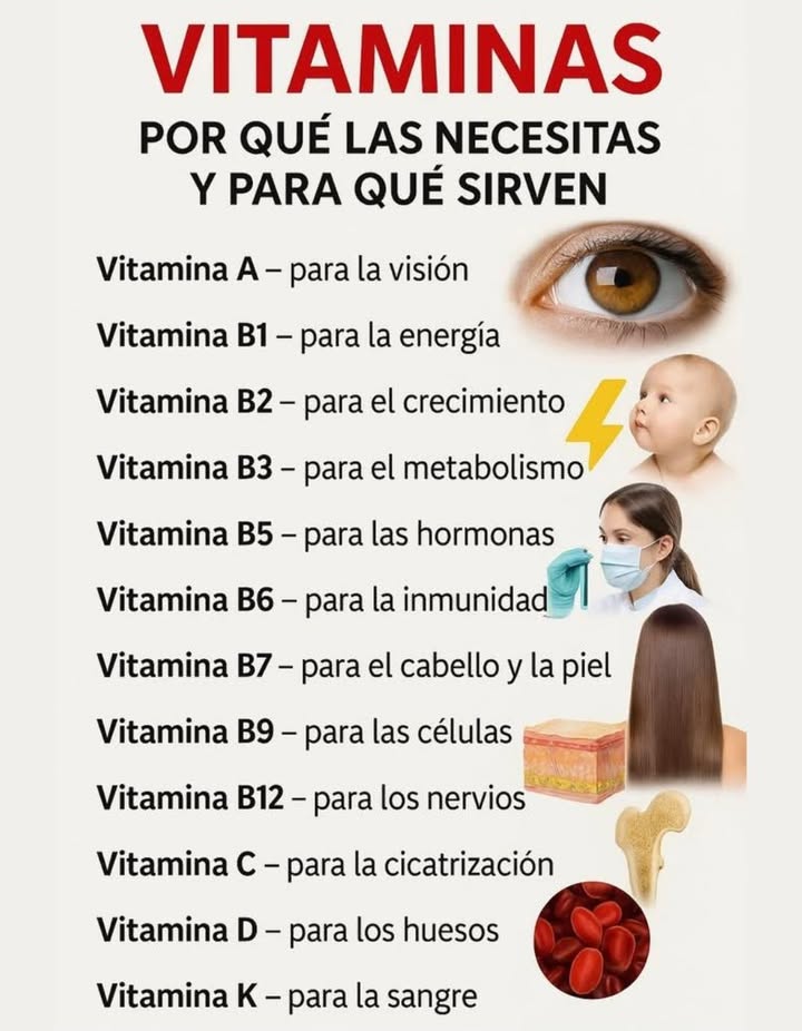 VITAMINAS 
Por qué las necesitas y para qué sirven