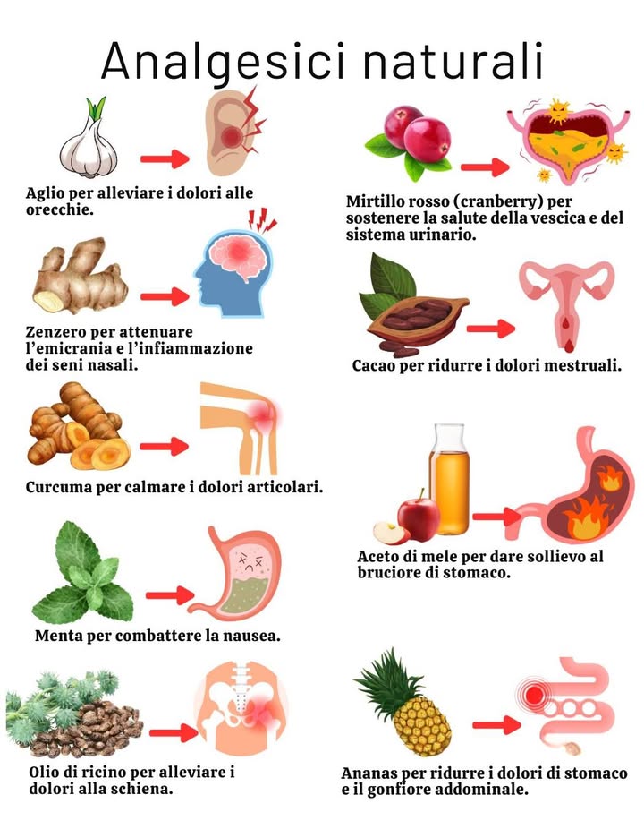 Antidolorifici naturali: alleviare i dolori in modo alternativo 

Fin dallantichità, alcune piante e alimenti hanno proprietà analgesiche e antinfiammatorie. Ecco 9 alleati naturali contro i disturbi quotidiani:

龍 Aglio  Allevia i dolori alle orecchie
 Mirtillo rosso  Protegge vescica e vie urinarie
 Zenzero  Riduce emicrania e infiammazione dei seni nasali
 Cacao  Diminuisce i dolori mestruali
 Curcuma  Calma i dolori articolari
 Aceto di mele  Lenisce il bruciore di stomaco
 Menta  Calma nausea e malessere
 Olio di ricino  Attenua i dolori alla schiena
 Ananas  Riduce gonfiore e dolori gastrici

 Conclusione
Questi rimedi naturali aiutano ad alleviare diversi disturbi e migliorano il benessere quotidiano: preziosi alleati offerti dalla natura.