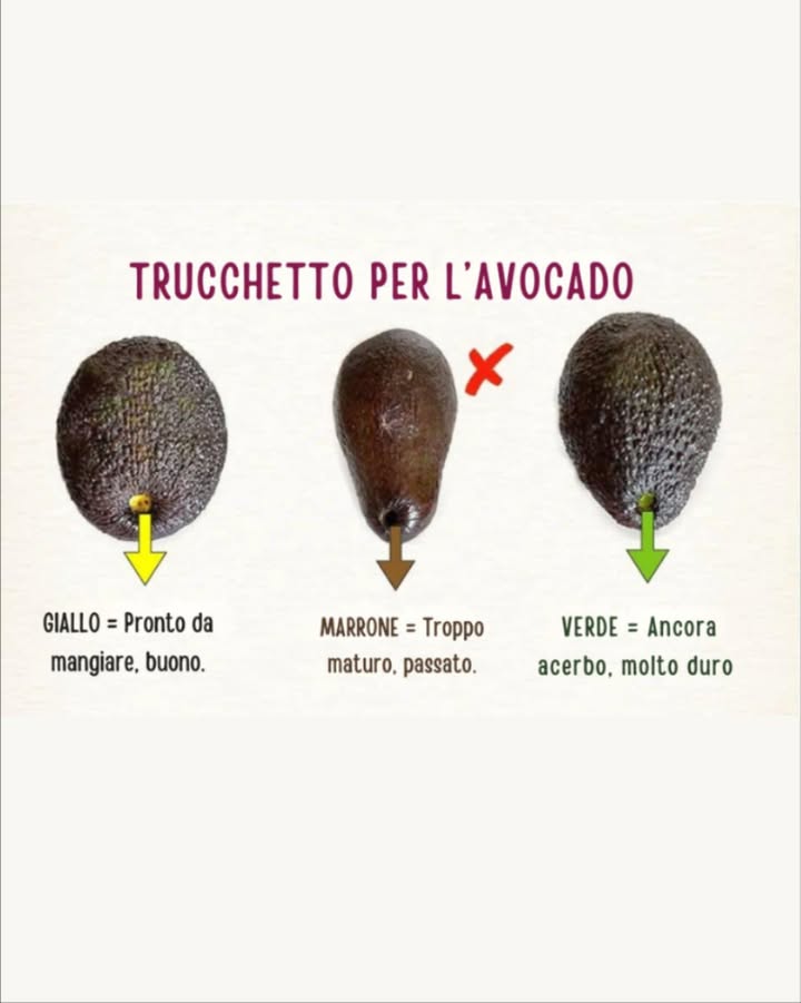 陋 Trucchetto per scegliere lavocado
 Se sotto il picciolo è giallo, lavocado è pronto e buono da mangiare.
 Se è marrone, significa che è troppo maturo e passato.
 Se è verde, è ancora acerbo e molto duro.
Un controllo rapido che ti assicura lavocado perfetto ogni volta!