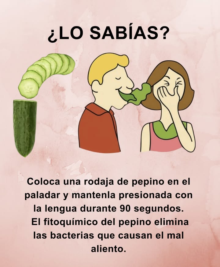 Di adiós al mal aliento con un truco natural. 

 Coloca una rodaja de pepino en el paladar.  
 Presiona con la lengua durante 90 segundos.  
 El pepino libera fitoquímicos que ayudan a reducir las bacterias responsables del mal aliento. 

 Un remedio fresco, fácil y completamente natural.