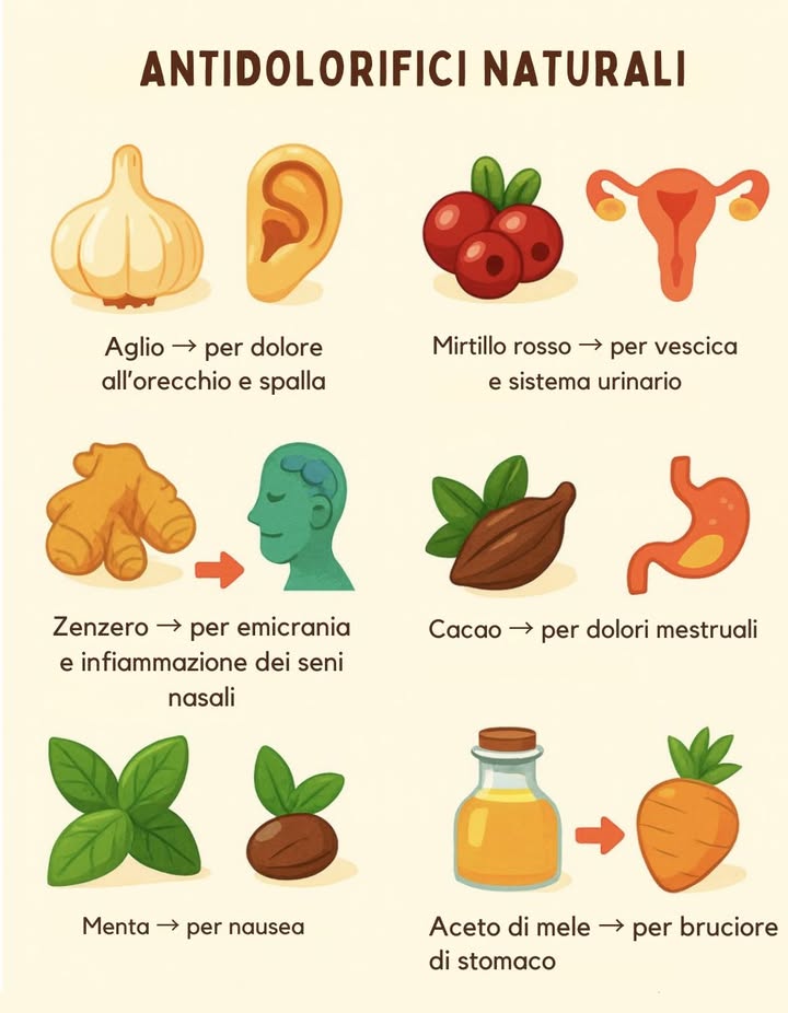 Antidolorifici naturali sempre a portata di mano 
La natura offre rimedi semplici ed efficaci:
龍 Aglio  per dolori a orecchio e spalla
 Mirtillo rosso  per la vescica e il sistema urinario
 Zenzero  per emicrania e seni nasali infiammati
 Cacao  per dolori mestruali
 Menta  per nausea
 Aceto di mele  per bruciore di stomaco

Un piccolo kit naturale per alleviare i fastidi quotidiani 
#rimedinaturali #benesserenaturale #naturopatia