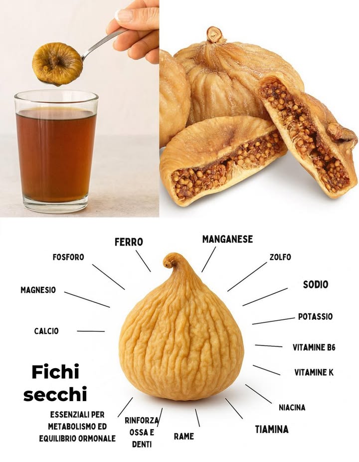 Gli incredibili benefici per la salute dei fichi secchi: la dolce medicina della natura…
 I Fantastici Benefici dei Fichi Secchi  Il Dolce Elisir della Natura 

Tra i frutti più antichi e nutrienti al mondo, i fichi secchi sono stati apprezzati fin dallantichità per il loro sapore dolce e le straordinarie proprietà curative. Ricchi di minerali, vitamine e antiossidanti, rappresentano un vero superfood naturale, ideale come spuntino energetico o ingrediente per tisane, smoothie e dolci salutari.

 1. Fonte Naturale di Energia

Contengono glucosio e fruttosio, zuccheri semplici che offrono energia immediata ma duratura.
Perfetti prima dellattività fisica o nei momenti di stanchezza, senza bisogno di zuccheri raffinati.

 2. Favoriscono la Digestione

Grazie allalto contenuto di fibre solubili e insolubili, i fichi secchi aiutano a regolarizzare lintestino, prevenire la stitichezza e mantenere sano il microbiota intestinale.

領 3. Rinforzano Ossa e Denti

Contengono calcio, magnesio, fosforo e vitamina K, fondamentali per la densità ossea e la prevenzione dellosteoporosi.
Unottima alternativa vegetale ai latticini.

 4. Proteggono il Cuore

Ricchi di potassio e magnesio, contribuiscono a regolare la pressione sanguigna e a mantenere un ritmo cardiaco stabile.
Le fibre aiutano a ridurre il colesterolo cattivo LDL, proteggendo così il sistema cardiovascolare.

 5. Regolano la Glicemia

Pur essendo dolci, hanno indice glicemico moderato e contengono composti che migliorano la sensibilità allinsulina.
In piccole quantità, possono essere consumati anche da chi controlla il livello di zuccheri nel sangue.

 6. Combattono la Stanchezza e lAnemia

Ottima fonte vegetale di ferro, i fichi secchi favoriscono la produzione di emoglobina e aiutano a combattere la fatica e lanemia.

 7. Migliorano la Salute della Pelle

Ricchi di vitamine A, C ed E e di antiossidanti, contrastano i radicali liberi e favoriscono la produzione di collagene, mantenendo la pelle luminosa e idratata.

 8. Aiutano a Controllare il Peso

Le fibre donano senso di sazietà, riducono la fame nervosa e favoriscono un metabolismo equilibrato.

 9. Sostengono la Salute Riproduttiva

Nella medicina tradizionale, i fichi sono considerati un tonico naturale per la fertilità: aiutano a bilanciare gli ormoni e aumentano vitalità e resistenza.

 10. Rinforzano il Sistema Immunitario

Grazie alle loro proprietà antibatteriche e antinfiammatorie, aiutano lorganismo a difendersi da infezioni e virus stagionali.

 Modi Tradizionali per Consumare i Fichi Secchi

1. Fichi Ammollati in Acqua al mattino

Metti 23 fichi secchi in un bicchiere dacqua e lasciali in ammollo per una notte.

Al mattino, mangiali a digiuno e bevi lacqua.
 Aiuta digestione, depurazione e assorbimento dei nutrienti.

2. Acqua di Fichi Bolliti

Fai bollire 34 fichi secchi in 1 tazza dacqua per 10 minuti.

Lascia raffreddare e bevi il liquido.
 Ottimo rimedio naturale contro stitichezza e gonfiore.

3. In Smoothie o Porridge
Aggiungi fichi ammollati ai frullati o tagliali nel porridge per dolcezza naturale e un apporto extra di fibre.

4. Come Dolcificante Naturale
Frulla i fichi e usa la crema ottenuta in torte, biscotti o dessert come alternativa salutare allo zucchero.

5. In Tisane o Infusi
Abbinali a cannella, zenzero o menta per una bevanda calda e benefica.

 Consigli Utili

Consuma 24 fichi secchi al giorno.

Conserva in luogo fresco e asciutto o in frigo per mantenerli freschi.

Sciacqua o ammolla prima del consumo per migliorarne la digeribilità.

 In Sintesi

I fichi secchi sono molto più di un semplice snack: sono un alleato naturale per energia, salute e longevità.
Dalle ossa alla pelle, dal cuore alla digestione, questi piccoli frutti offrono grandi benefici in modo semplice e gustoso.

 Un dolce dono della natura che unisce piacere e benessere  ogni giorno, in modo naturale.