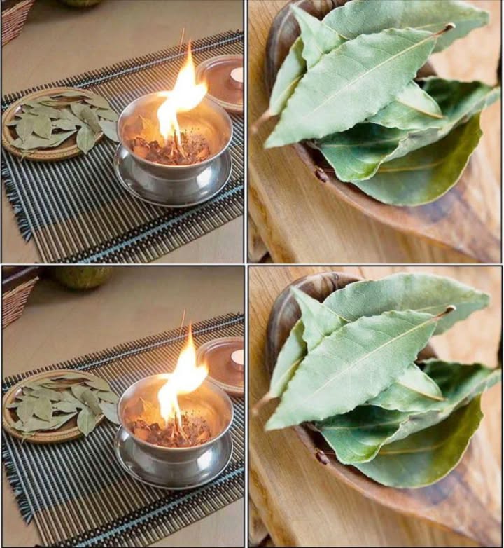 6 cose che succedono quando bruci una foglia di alloro a casa ogni sera 
 6 Incredibili Benefici di Bruciare le Foglie di Alloro

Un antico rituale naturale per benessere, aria più pulita e mente più serena

Lalloro è conosciuto da secoli per il suo profumo aromatico e il suo valore culinario. Ma quando viene bruciato, rivela proprietà sorprendenti che vanno ben oltre la cucina. Un gesto semplice, ricco di tradizione, capace di trasformare lambiente e il benessere personale.

1 Aromaterapia e Rilassamento

Bruciare le foglie di alloro sprigiona un aroma caldo e avvolgente, capace di creare unatmosfera rilassante in casa o nello spazio di lavoro. Questa fragranza favorisce calma mentale, riduce lo stress e aiuta ad alleviare ansia e tensioni, trasformando lambiente in unoasi di tranquillità.

2 Miglioramento della Respirazione

Il fumo prodotto dallalloro bruciato contiene eucaliptolo e linalolo, composti noti per i loro benefici respiratori. Aiutano ad aprire le vie respiratorie, alleggerire la congestione e offrire sollievo in caso di tosse, raffreddore o bronchite. Un supporto naturale particolarmente utile nei mesi invernali.

3 Repellente Naturale contro gli Insetti

Durante la combustione, lalloro rilascia oli essenziali come leugenolo e il mircene, efficaci nellallontanare mosche, zanzare e insetti fastidiosi. Unalternativa ecologica e profumata ai repellenti chimici, ideale per mantenere lambiente fresco e protetto.

4 Maggiore Chiarezza Mentale

Il profumo dellalloro bruciato aiuta a liberare la mente, migliorare la concentrazione e stimolare la lucidità mentale. Una pratica utile nei momenti di stanchezza, studio o lavoro intenso, quando serve ritrovare focus e produttività.

5 Usi Spirituali e Rituali

In molte culture, lalloro bruciato è associato alla purificazione energetica. Viene utilizzato per liberare lambiente dalle energie pesanti, favorire introspezione e creare uno spazio sacro durante meditazioni, pratiche spirituali o cerimonie. Un simbolo antico di protezione e rinnovamento.

6 Profumatore dAmbiente Naturale

Il suo aroma intenso e balsamico rende lalloro un eccellente deodorante naturale. Neutralizza odori sgradevoli, rinfresca laria e lascia un profumo pulito e rigenerante, perfetto dopo la cucina o in spazi poco arieggiati.

 Precauzioni Importanti

 Bruciare sempre le foglie in un ambiente ben ventilato.
 Tenere lontano da materiali infiammabili.
 Non lasciare mai la combustione incustodita.
 Consultare un professionista in caso di sensibilità respiratorie.

 Un Antico Gesto dal Grande Potere

Bruciare le foglie di alloro è un rituale semplice ma ricco di benefici: calma, chiarezza mentale, purificazione, protezione e una casa naturalmente profumata. Una tradizione che unisce benessere, natura e piccoli momenti di pace quotidiana.