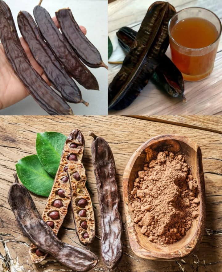 Non sto scherzando riguardo a questo frutto. Ho smesso di sprecare soldi: mi limito a consumare solo questo frutto. Se non ne avete uno a casa, mi chiedo sinceramente se ne comprendiate davvero lutilità e limportanza…
 Carruba: il Superfood Dolce, Sano e Versatile
Una deliziosa alternativa naturale al cacao, adatta a tutti 
 Benefici Principali della Carruba
 Ricca di antiossidanti  protegge le cellule
 Alta in fibre  regola lintestino
 Senza caffeina  perfetta per chi è sensibile
 Povera di grassi  amica del cuore
 Dolce naturale  ottima per sostituire zucchero e cacao
領 Ricca di calcio  senza ossalati, ideale per ossa e denti
 Senza glutine  sicura per celiaci
 Basso indice glicemico  regola la glicemia
 Zero colesterolo  non influisce sui grassi nel sangue
裂 Antibatterica e digestiva  migliora la salute intestinale
 Allevia la diarrea  effetto astringente naturale
 Aiuta a controllare il peso  sazia con poche calorie
 Rafforza limmunità  grazie alla vitamina E
 Vitamine A, B2 e D  per pelle, vista e ossa
 Non danneggia i denti  priva di acidi come il cacao
 Abbassa la pressione  ricca di potassio
 Antinfiammatoria  azione dei polifenoli
 Energia naturale  senza picchi da caffeina
識 Ipoallergenica  raramente causa allergie
 Migliora la pelle  anti-age naturale
變 Riduce colesterolo LDL  supporta il cuore
易 Magnesio per il cervello  aiuta la memoria
 Allevia dolori mestruali  grazie a magnesio e antiossidanti
 Sicura per bambini e animali  dolce e nutriente
喝 Previene lanemia  ricca di ferro
 Come Usarla in Cucina
 Polvere di carruba  al posto del cacao 1:1 nei dolci
 Sciroppo  bolli i baccelli in acqua, riduci a sciroppo
 Tisana  baccelli secchi o polvere bolliti 1015 min
 Latte alla carruba  con miele e latte caldo
 Palline energetiche  con datteri, avena, noci, cocco
 Crema spalmabile  con miele, olio di cocco e latte in polvere
 Gelato  banane congelate  carruba  latte
 Chips di carruba  con olio di cocco e miele, poi congela
 Conclusione
Dolce, nutriente e senza effetti collaterali del cacao, la carruba è ideale per grandi e piccoli. Perfetta per dolci, merende e bevande salutari!
ℹ Per un uso frequente o in caso di patologie, chiedi consiglio al medico.
 Condividila con chi cerca alternative sane e gustose!