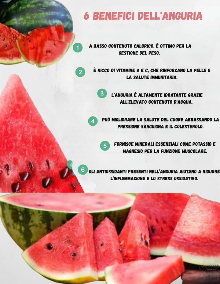 6 incredibili benefici dellanguria per la salute