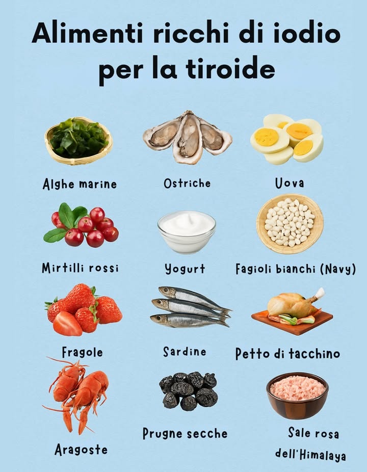 Nutri la tua tiroide in modo naturale 

Lo iodio è fondamentale per il corretto funzionamento della ghiandola tiroidea e puoi assumerlo con alimenti gustosi e facili da integrare nella dieta:

 Fragole, mirtilli e prugne secche
 Sardine, ostriche e aragoste
讀 Uova e petto di tacchino
拏 Yogurt
 Alghe marine, fagioli navy e sale rosa

 Prenditi cura della tua energia, del metabolismo e del benessere a partire dalla cucina!

#SaluteNaturale #Tiroide #VitaSana