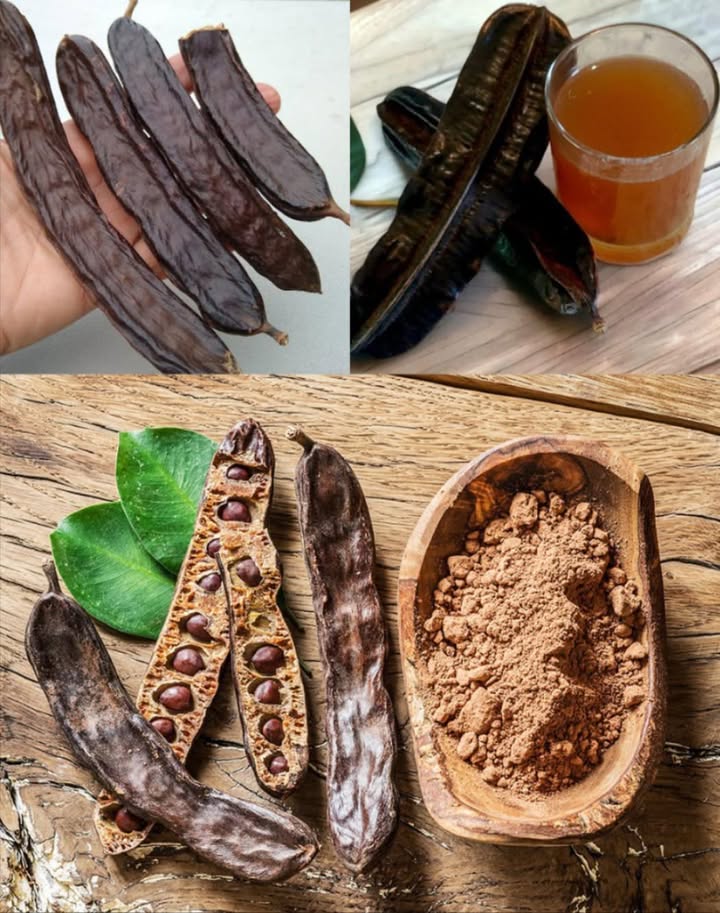 Non sto scherzando riguardo a questo frutto. Ho smesso di sprecare soldi: mi limito a consumare solo questo frutto. Se non ne avete uno a casa, mi chiedo sinceramente se ne comprendiate davvero lutilità e limportanza…
 Carruba: il Superfood Dolce, Sano e Versatile
Una deliziosa alternativa naturale al cacao, adatta a tutti 
 Benefici Principali della Carruba
 Ricca di antiossidanti  protegge le cellule
 Alta in fibre  regola lintestino
 Senza caffeina  perfetta per chi è sensibile
 Povera di grassi  amica del cuore
 Dolce naturale  ottima per sostituire zucchero e cacao
領 Ricca di calcio  senza ossalati, ideale per ossa e denti
 Senza glutine  sicura per celiaci
 Basso indice glicemico  regola la glicemia
 Zero colesterolo  non influisce sui grassi nel sangue
裂 Antibatterica e digestiva  migliora la salute intestinale
 Allevia la diarrea  effetto astringente naturale
 Aiuta a controllare il peso  sazia con poche calorie
 Rafforza limmunità  grazie alla vitamina E
 Vitamine A, B2 e D  per pelle, vista e ossa
 Non danneggia i denti  priva di acidi come il cacao
 Abbassa la pressione  ricca di potassio
 Antinfiammatoria  azione dei polifenoli
 Energia naturale  senza picchi da caffeina
識 Ipoallergenica  raramente causa allergie
 Migliora la pelle  anti-age naturale
變 Riduce colesterolo LDL  supporta il cuore
易 Magnesio per il cervello  aiuta la memoria
 Allevia dolori mestruali  grazie a magnesio e antiossidanti
 Sicura per bambini e animali  dolce e nutriente
喝 Previene lanemia  ricca di ferro
 Come Usarla in Cucina
 Polvere di carruba  al posto del cacao 1:1 nei dolci
 Sciroppo  bolli i baccelli in acqua, riduci a sciroppo
 Tisana  baccelli secchi o polvere bolliti 1015 min
 Latte alla carruba  con miele e latte caldo
 Palline energetiche  con datteri, avena, noci, cocco
 Crema spalmabile  con miele, olio di cocco e latte in polvere
 Gelato  banane congelate  carruba  latte
 Chips di carruba  con olio di cocco e miele, poi congela
 Conclusione
Dolce, nutriente e senza effetti collaterali del cacao, la carruba è ideale per grandi e piccoli. Perfetta per dolci, merende e bevande salutari!
ℹ Per un uso frequente o in caso di patologie, chiedi consiglio al medico.
 Condividila con chi cerca alternative sane e gustose!