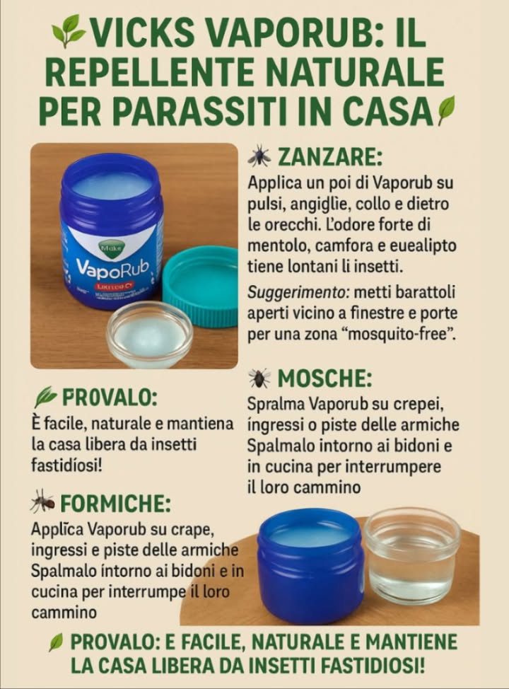 VICKS VAPORUB: Il Repellente Naturale per Parassiti in Casa! 
烈 Zanzare:
Applica un po di Vaporub su polsi, caviglie, collo e dietro le orecchie. Lodore forte di mentolo, canfora e eucalipto tiene lontani gli insetti.
Suggerimento: metti barattoli aperti vicino a finestre e porte per una zona mosquito-free.
 Mosche:
Spalma Vaporub su pezzetti di stoffa o carta e posizionali vicino a bidoni, lavelli e cucine. Oppure metti una ciotola con acqua calda e un po di Vaporub per far evaporare il profumo repellente.
 Formiche:
Applica Vaporub su crepe, ingressi e piste delle formiche. Spalmalo intorno ai bidoni e in cucina per interrompere il loro cammino e tenerle lontane.
 Provalo: è facile, naturale e mantiene la casa libera da insetti fastidiosi!