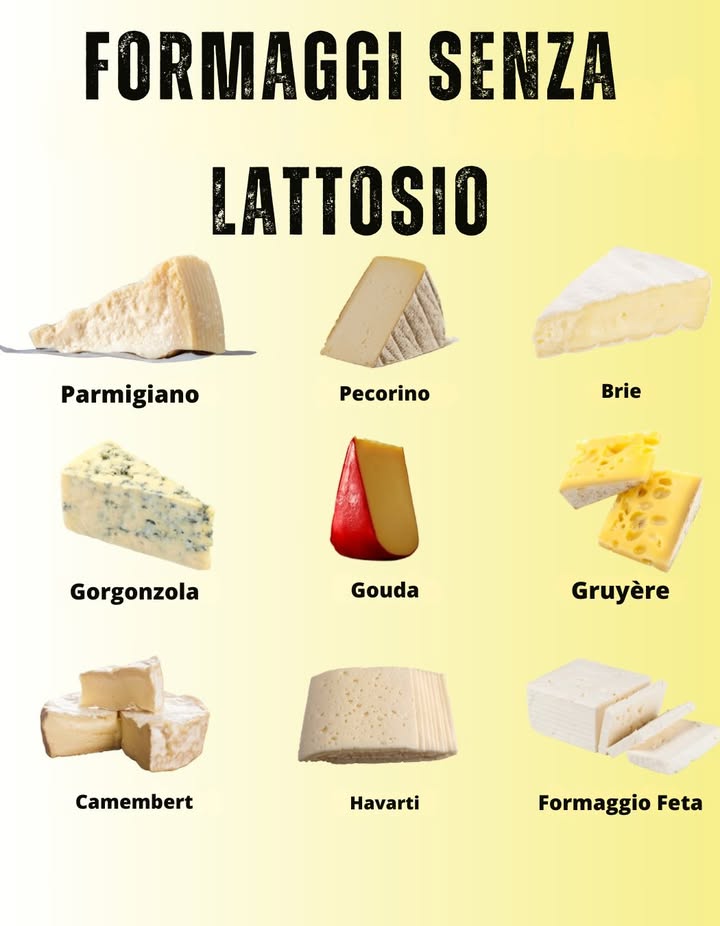 Formaggi senza lattosio