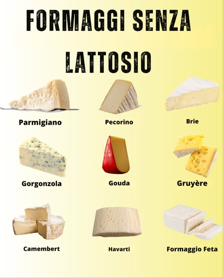 Formaggi senza lattosio