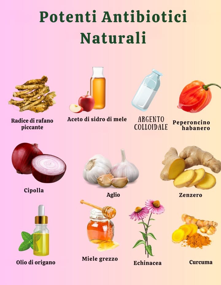 POTENTI ANTIBIOTICI NATURALI