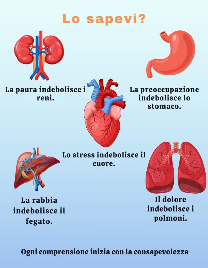 Come le emozioni influenzano i tuoi organi: