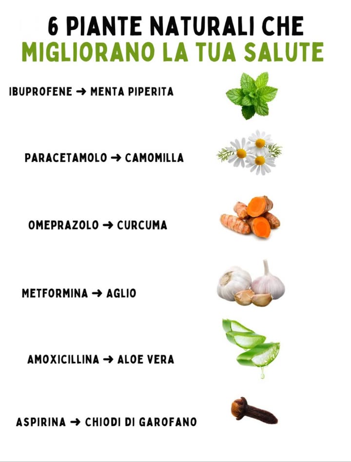 6 piante naturali che migliorano la tua salute