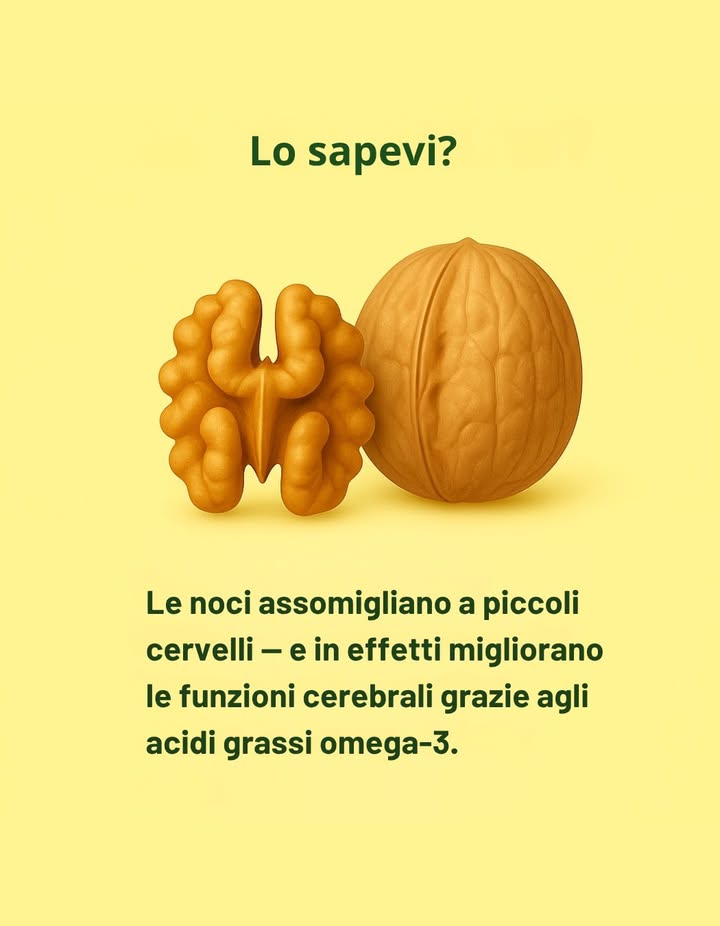 Hai mai notato che una noce sembra un piccolo cervello?
Non è una coincidenza  fa davvero bene al cervello!

Grazie agli acidi grassi omega-3, le noci migliorano la memoria, la concentrazione e la salute neuronale.
La natura sa esattamente ciò che fa. 

#SaggezzaDellaNoce #Omega3 #MenteSana #NaturaSapiente