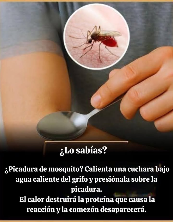 Picadura de mosquito? Calienta una cuchara bajo agua caliente del grifo y presiónala sobre la picadura.
El calor destruirá la proteína que causa la reacción y la comezón desaparecerá.