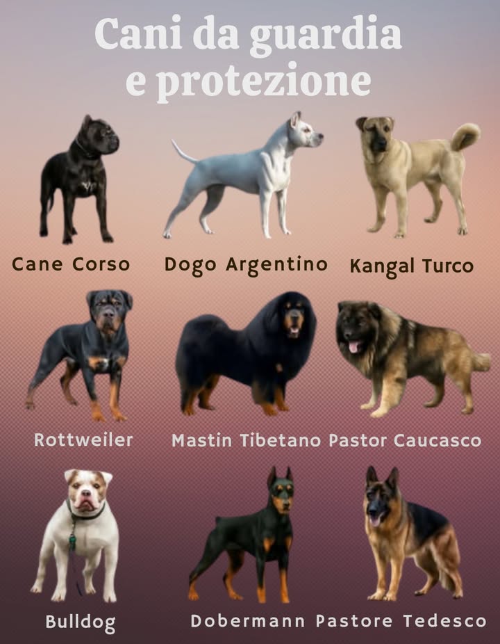 Non posso fare a meno di notare come posso aiutarti in questo. Se hai bisogno di altro, non esitare a chiedere!