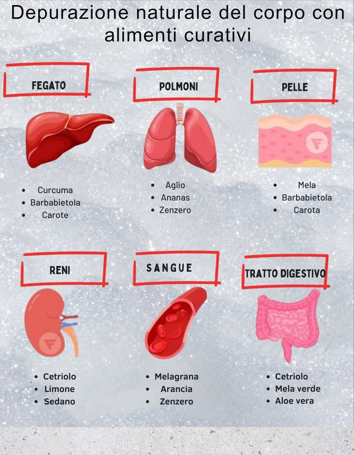 Depurazione naturale del corpo con alimenti curativi 

李 Fegato
 Curcuma
 Barbabietola
 Carote

 Polmoni
 Aglio
 Ananas
 Zenzero

 Pelle
 Mela
 Barbabietola
 Carota

 Reni
 Cetriolo
 Limone
 Sedano

 Sangue
 Melograno
 Arancia
 Zenzero

 Tratto digestivo
 Cetriolo
 Mela verde
 Aloe vera

 Nutrizione che purifica, rigenera e dona vitalità dallinterno.