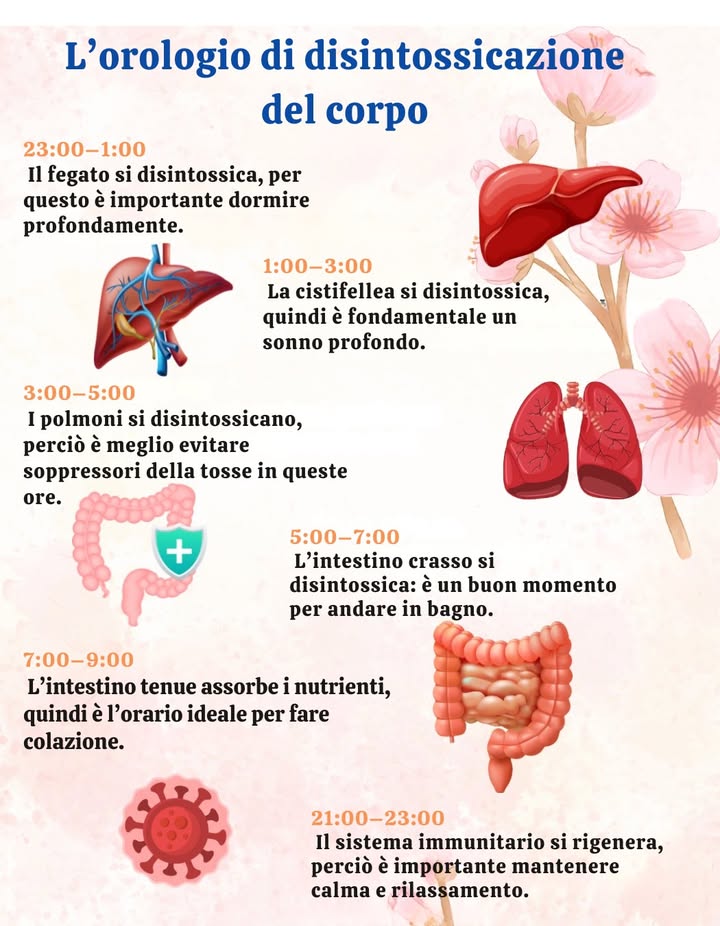 Disintossicazione del corpo