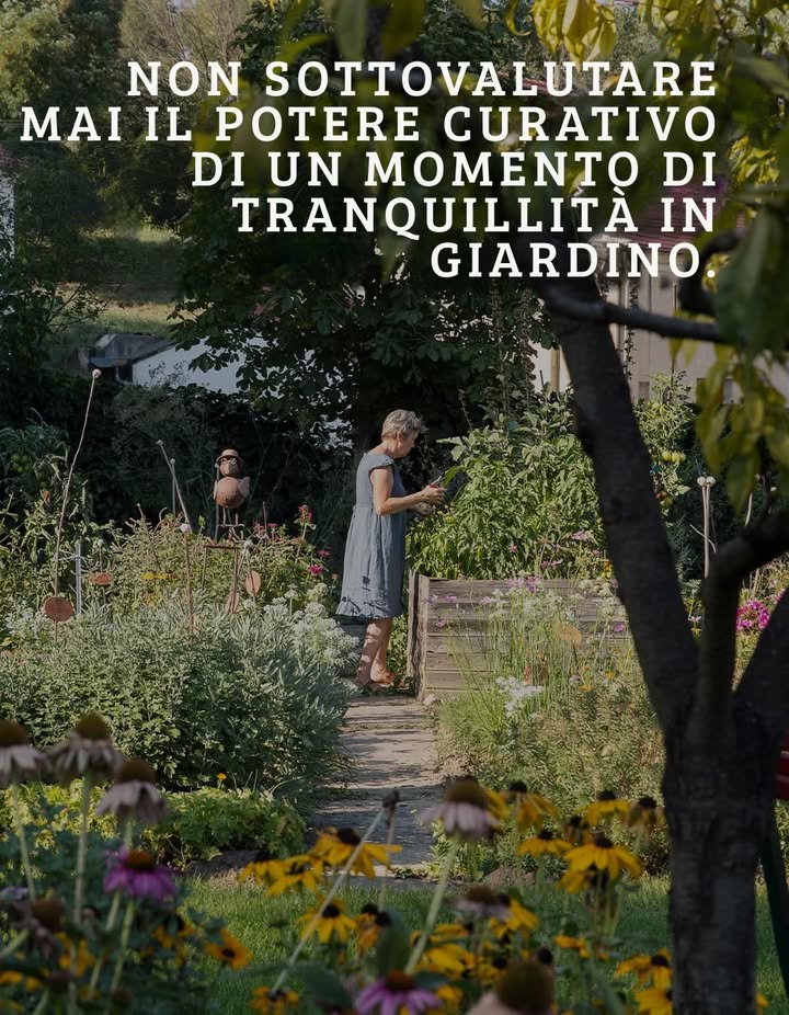 Il potere terapeutico del giardinaggio 
In questa immagine, vediamo una donna immersa nella quiete del suo orto fiorito, circondata da echinacee, rudbeckie e piante aromatiche. Non si tratta solo di un momento di bellezza: è una vera e propria cura per lanima e per il corpo.
 Benefici del tempo trascorso in giardino:
 Riduce i livelli di stress e ansia grazie al contatto diretto con la natura.
 Favorisce la produzione di serotonina e dopamina, migliorando lumore.
 Aiuta a mantenere attiva la mente e il corpo, specialmente per le persone anziane.
 Promuove la mindfulness, stimolando tutti i sensi attraverso colori, profumi e consistenze.
 Perché il giardinaggio è terapeutico:
 Offre una pausa dal rumore e dal ritmo frenetico della vita quotidiana.
 Ricollega lessere umano ai ritmi naturali e alla ciclicità delle stagioni.
 Coltivare e prendersi cura delle piante genera un senso di responsabilità e soddisfazione.
 Piante consigliate per un giardino rilassante:
 Lavanda: calmante, profumata e resistente.
 Camomilla: rilassante, ideale anche per infusi.
 Echinacea: non solo bella, ma anche utile per rafforzare il sistema immunitario.
 Melissa e menta: rinfrescanti e perfette per tisane serali.
 Anche un piccolo spazio verde può diventare un rifugio di serenità. Basta unaiuola, un terrazzo fiorito o qualche vaso sul balcone per creare un angolo curativo tutto tuo.
 Prenditi cura del tuo giardino e lui si prenderà cura di te.