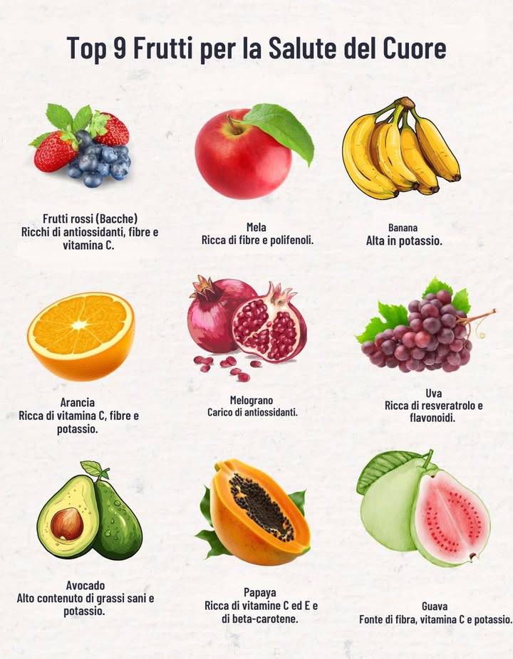 Top 9 Frutti per la Salute del Cuore
1 Frutti rossi  Ricchi di antiossidanti, fibre e vitamina C.
2 Mela  Alta in fibre e polifenoli.
3 Banana  Eccellente fonte di potassio.
4 Arancia  Ricca di vitamina C, fibre e potassio.
5 Avocado  Apporta grassi buoni e potassio.
6 Melagrana  Ricchissima di antiossidanti.
7 Papaya  Fonte di vitamine C, E e betacarotene.
8 Uva  Contiene resveratrolo e flavonoidi.
9 Guava  Alta in fibre, vitamina C e potassio