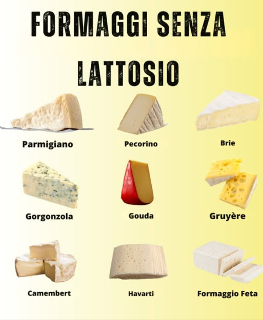 Formaggi senza lattosio