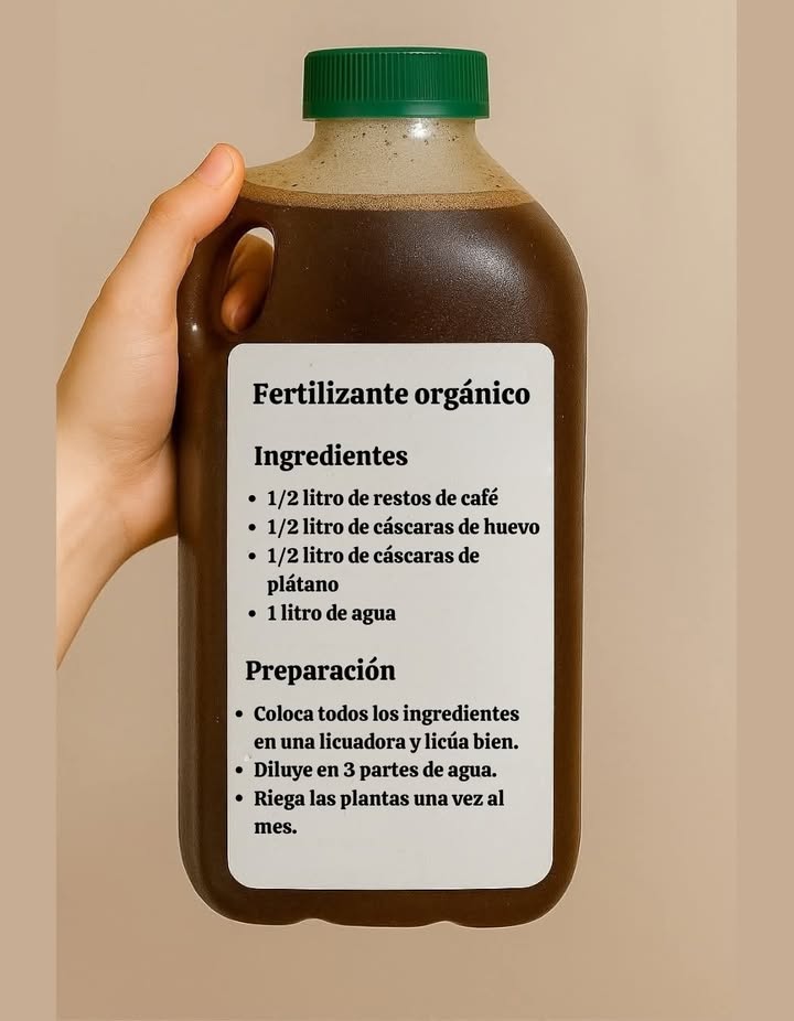 Fertilizante orgánico

Ingredientes
1/2 litro de restos de café
1/2 litro de cáscaras de huevo
1/2 litro de cáscaras de plátano
1 litro de agua

Preparación
Coloca todos los ingredientes en una licuadora y licúa bien.
Diluye en 3 partes de agua.
Riega las plantas una vez al mes.