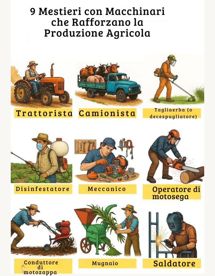 9 mestieri chiave che muovono la produzione agricola 

Lagricoltura non dipende solo dal coltivatore, ma anche da chi gestisce, ripara e ottimizza le macchine che rendono possibile il lavoro quotidiano.

 Ogni mestiere contribuisce con la propria parte:

Il trattorista prepara il terreno.

Lautista trasporta la produzione.

Il disinfestatore protegge le colture.

Il meccanico mantiene le macchine sempre pronte.

Il saldatore ripara e costruisce strutture.

Il decespugliatore, i mugnai e gli operai tengono tutto in movimento.

 Lunione di questi mestieri rafforza la produttività, lefficienza e la sostenibilità del mondo agricolo.