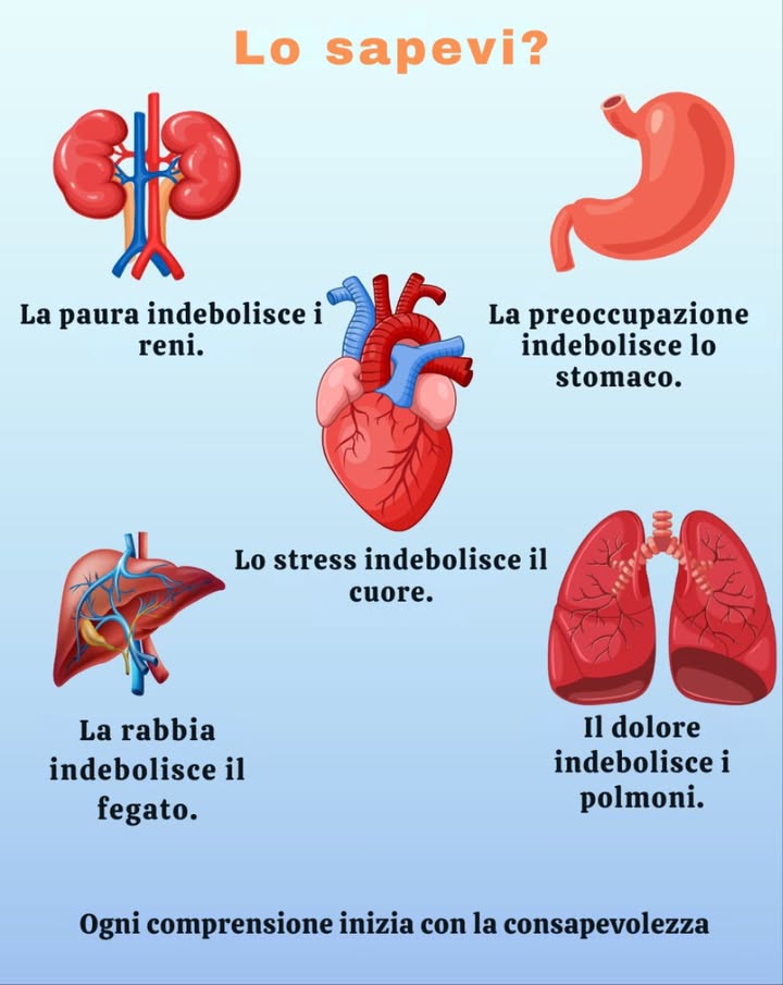 Come le emozioni influenzano i tuoi organi: