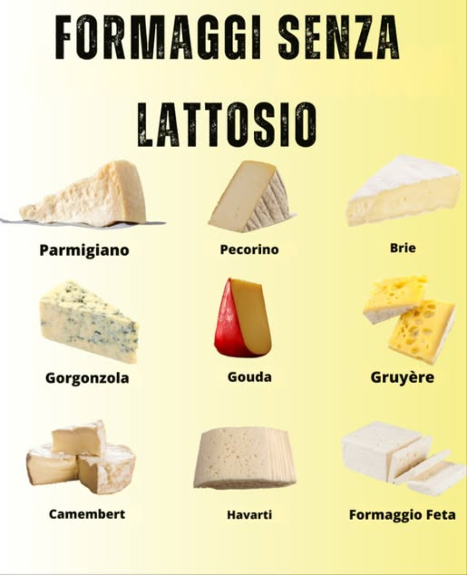 Formaggi senza lattosio