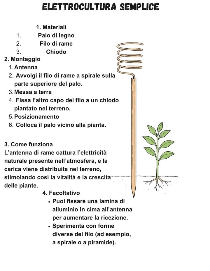 Elettrocultura semplice 

1. Materiali

Palo di legno

Filo di rame

Chiodo

2. Montaggio

Antenna: avvolgi il filo di rame a spirale sulla parte superiore del palo.

Messa a terra: fissa laltro capo del filo a un chiodo piantato nel terreno.

Posizionamento: colloca il palo vicino alla pianta.

3. Come funziona
Lantenna di rame cattura lelettricità naturale presente nellatmosfera e la distribuisce nel terreno, stimolando la vitalità e la crescita delle piante.

4. Facoltativo
 Puoi fissare una lamina di alluminio in cima allantenna per aumentare la ricezione.
 Sperimenta con forme diverse del filo a spirale, a piramide, ecc..

 Un metodo naturale e gratuito per potenziare la crescita delle piante sfruttando lenergia della natura.