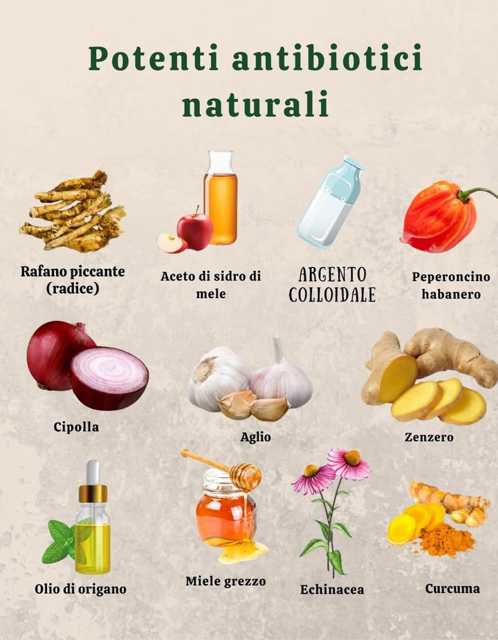 POTENTI ANTIBIOTICI NATURALI
