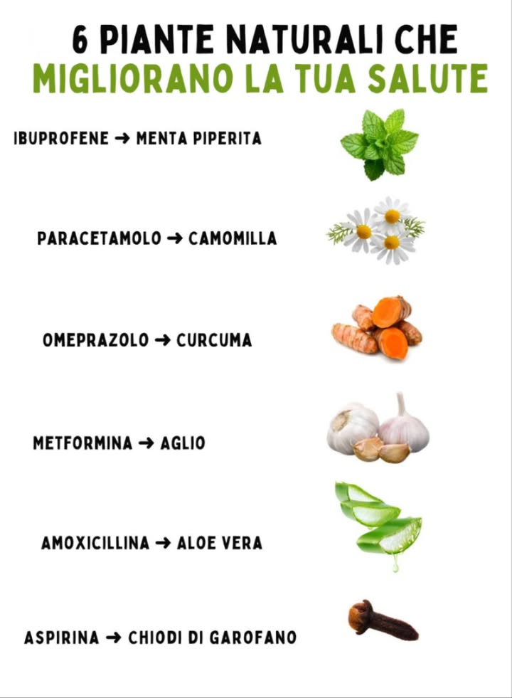 6 piante naturali che migliorano la tua salute