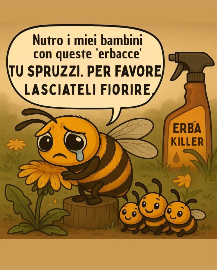 Per te è solo unerbaccia. Per me è unancora di salvezza per i miei figli. Prima di spruzzare, ricorda: alcune vite dipendono da ciò che distruggi. Compresa la tua. Hai bisogno delle api più di quanto credi. Ogni boccone di cibo, ogni fiore che sboccia, ogni campo verde dipende dal lavoro che facciamo. Niente api significa niente impollinazione. Niente impollinazione significa niente frutta, niente verdura, niente semi. La vita sulla Terra, la tua vita, la vita dei tuoi figli, ha bisogno delle api per sopravvivere. Quindi, per favore… prima di uccidere le “erbacce”, lasciale fiorire. Lasciaci vivere.