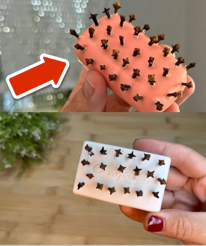 Mia nonna mi ha rivelato perché tiene una saponetta in ogni stanza con i CLINKS: cè una ragione sorprendentemente buona per questo!
Utilizzo dei Chiodi di Garofano contro gli Insetti
I chiodi di garofano sono efficaci contro gli insetti e possono essere utilizzati in diversi modi per tenere lontane zanzare, formiche, e altri parassiti senza ricorrere a sostanze chimiche dannose.
1. Sapone e Chiodi di Garofano:
   – Prendete un sapone solido e infilatevi dentro 30 chiodi di garofano.
   – Posizionate il sapone nei luoghi frequentati dagli insetti, come il davanzale della finestra o in bagno.
   – Oltre a respingere gli insetti, il mix emana anche un profumo gradevole, utile per eliminare gli odori dagli armadi.
2. Spruzzo a Base di Chiodi di Garofano e Aceto:
   – Questo rimedio è efficace contro vari parassiti come zanzare, formiche e tarme.
   – In una bottiglia con spruzzatore, versate una tazza di acqua calda e una tazza di aceto bianco.
   – Aggiungete 3 cucchiai di chiodi di garofano, agitate bene e spruzzate nei luoghi infestati dagli insetti.
   – Questo spray può essere usato anche per pulire superfici come i piani di lavoro o il frigorifero, lasciando un profumo piacevole e agendo come un detergente disinfettante.
3. Profumatore Multiuso con Chiodi di Garofano:
   – Questo metodo serve per profumare lambiente e allontanare gli insetti.
   – Versate i chiodi di garofano in 150 ml dacqua e riscaldate fino a quando lacqua cambia colore.
   – Lasciate raffreddare e versate in una bottiglia spray, aggiungendo 3-4 cucchiai di aceto alcolico, 200 ml di alcol e 50 ml di ammorbidente.
   – Agitate bene e spruzzate in casa, sui mobili, sulle soglie e nei luoghi frequentati dagli insetti.
   – Questo spray è efficace contro mosche, zanzare e altri insetti striscianti, oltre a profumare lambiente.
Questi metodi sono economici, ecologici e sicuri per la casa e lambiente. Utilizzando i chiodi di garofano in combinazione con ingredienti comuni, è possibile tenere lontani gli insetti in modo naturale e efficace.