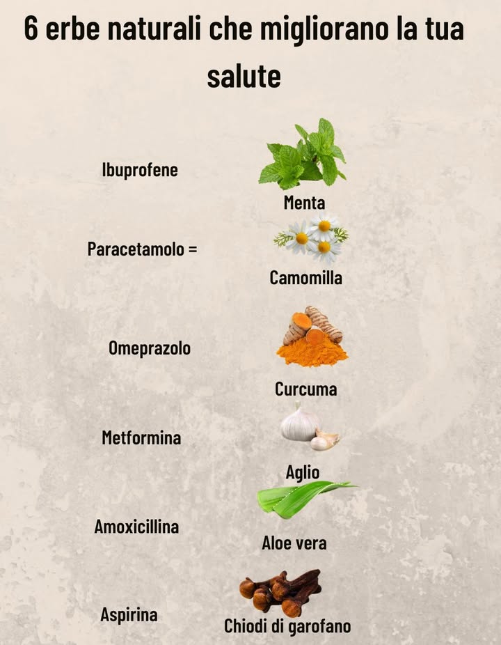 6 erbe naturali che migliorano la salute